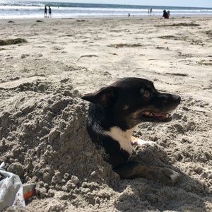 Meet your Posher, Tae hoon